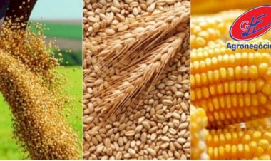 Clima e demanda movimentam mercado agrícola