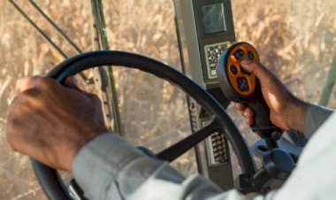 Goiás cresce 166,5% no saldo de empregos da agropecuária