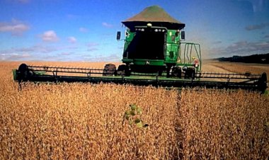Mato Grosso cria Comissão de Fertilidade do Solo para fortalecer produção agrícola