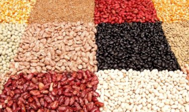 Cotações Agropecuárias