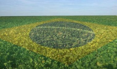 Soja sobe com demanda externa aquecida e cautela de produtores diante do clima no Sul