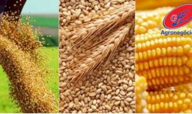 Veja aqui Cotações mista do Agro