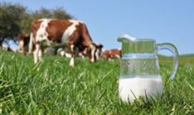 Projeto orienta uso racional de medicamentos e busca reduzir perdas na pecuária leiteira