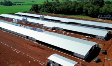 MBRF investe R$ 300 milhões em fundo do Governo do Paraná para fortalecer cadeia de aves e suínos