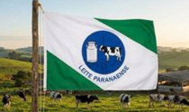 Conseleite/PR divulga valor de referência do leite pago em fevereiro/26