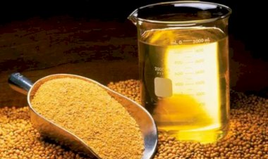 Cotações Agropecuárias