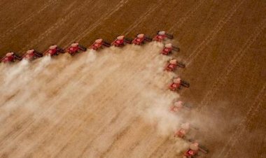 Cotações Agropecuárias