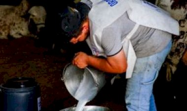 MS: instituições firmam parceria para lançar a 