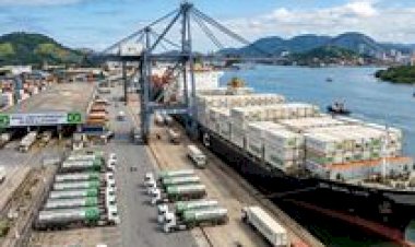 Aliança Láctea Sul Brasileira apresenta plano para fortalecer exportações de lácteos