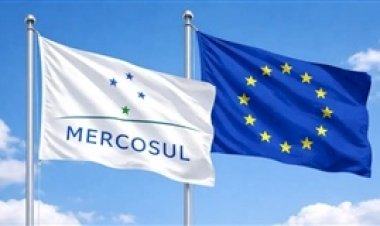 Decreto das salvaguardas do Mercosul-UE garante proteção ao setor produtivo brasileiro