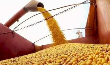 Guerra pressiona exportações e auditores correm para evitar encalhe de 22% do milho brasileiro