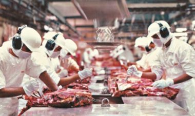 Cotações Agropecuárias