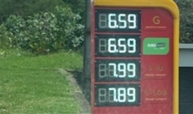 Diesel a R$ 7,99 faz colheita gastar quase R$ 4 mil por dia só em combustível no Rio Grande do Sul