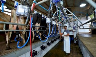 Produtores de leite no Rio Grande do Sul enfrentam início de ano difícil