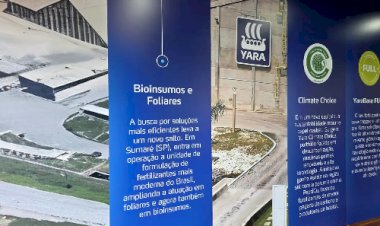 Recorde de safra não significa dinheiro no bolso, eficiência é palavra de ordem