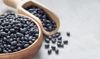 FEIJÃO: Preços caem na semana