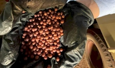 Câmara discute impactos econômicos da pirataria