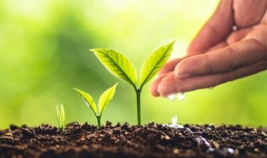 CNA pede isenção total de taxa sobre frete marítimo para conter alta dos fertilizantes