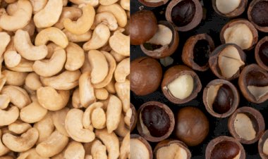 Brasil amplia mercados para o agro na Turquia e Singapura