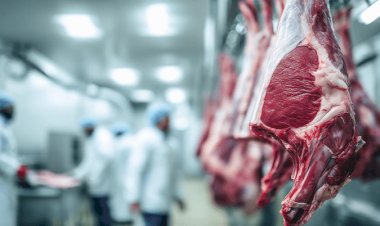 Projeto nos EUA propõe desmantelar operações de grandes frigoríficos, como a JBS