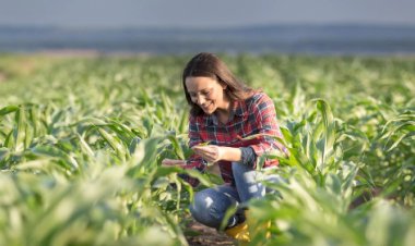 AgroBR amplia base de produtores, mas conversão em exportações ainda é desafio