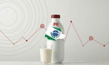 Conseleite/PR divulga projeção do valor de referência do leite a ser pago em abril/26