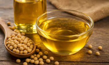 Petróleo, Oriente Médio e biodiesel: óleo de soja dispara no Brasil