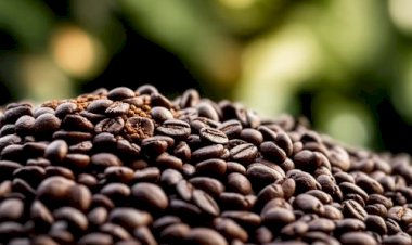 Preço do café arábica sobe, já o robusta cai