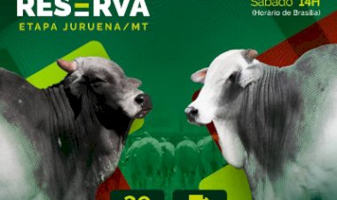 57º LEILÃO TOUROS RESERVA JACAREZINHO - ETAPA MT