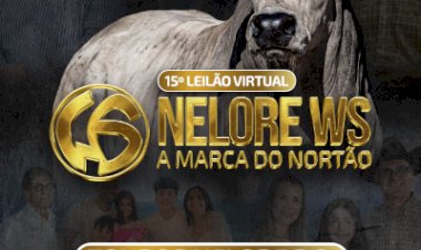 15º LEILÃO VIRTUAL NELORE WS