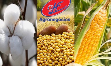 Cotações Agropecuárias