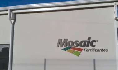 Mosaic paralisa operações de fosfatados em Minas Gerais e planeja venda de ativos