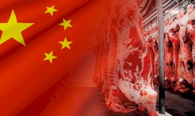 Carne brasileira exportada a Hong Kong pode indicar rota indireta à China
