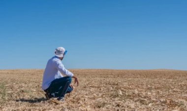 Soja 26/27 ganha novo calendário e CNA liga alerta para manejo nas lavouras