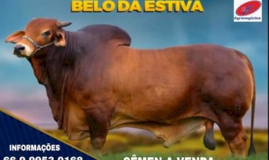 Cotações Agropecuárias