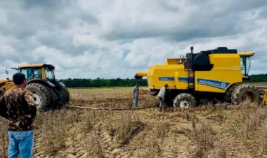 Produtores relatam prejuízos na soja e Couto Magalhães pode decretar emergência