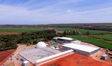 Nova fábrica dá pontapé inicial à produção de sementes de cana no Brasil