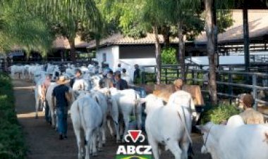 A dois dias da abertura oficial da 91ª ExpoZebu, preparativos finais movimentam o Parque Fernando Costa