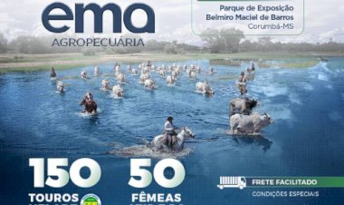 LEILÃO VIRTUAL EMA AGROPECUARIA