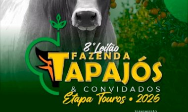 8º LEILÃO FAZENDA TAPAJÓS & CONVIDADOS - ETAPA TOUROS