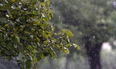 Chuva forte, temporais e baixa umidade marcam o tempo no Brasil nesta quarta