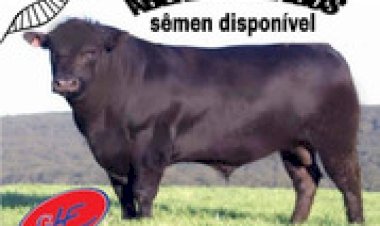 Veja aqui Cotações mista do Agro