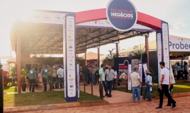 Agrotins 2026: Crescimento da pecuária no Tocantins impulsiona debate sobre mercado de reprodução bovina