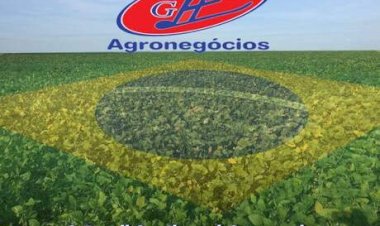 Endividamento crescente ameaça agro paranaense