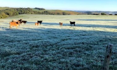 Previsão do tempo: Inmet alerta para chuvas intensas e temperaturas perto de 0°C