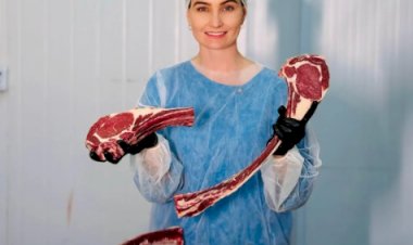 Pecuaristas do Tocantins investem em carne premium e ampliam mercado