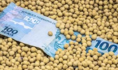 Soja tem preço estável, mas custo preocupa produtores