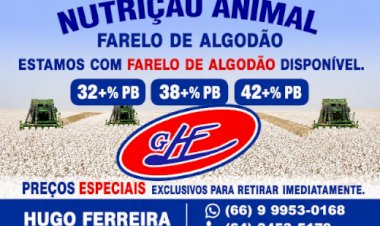 Cotações Agropecuárias