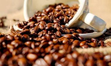 Cotações do feijão disparam enquanto café recua com força