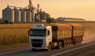 Milho caro, diesel pressionado e o impacto na proteína animal
